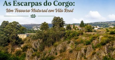 As Escarpas do Corgo: um tesouro natural em Vila Real